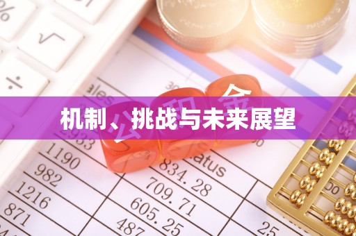 达茂旗机制、挑战与未来展望